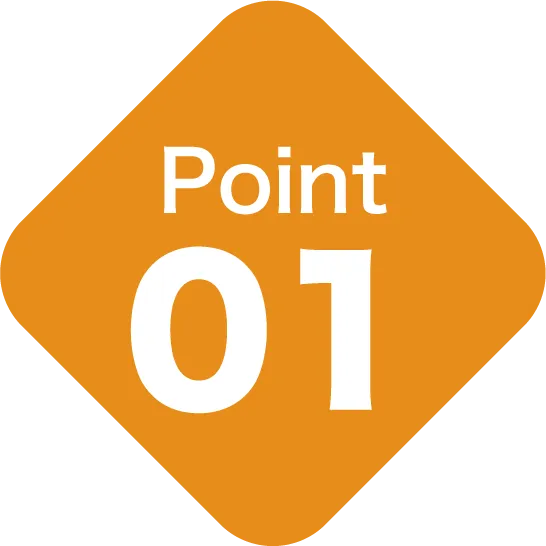 Point 01