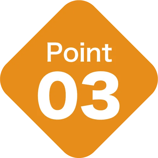 Point 03