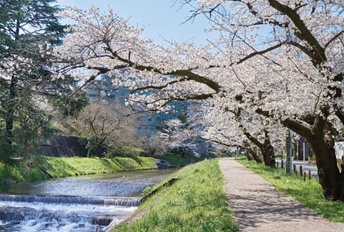 霞川イメージ