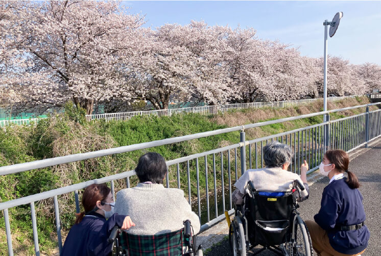 お花見