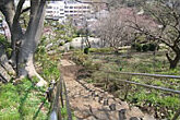 周辺環境 荒立公園|アズハイム横浜東寺尾（デイサービスセンター）