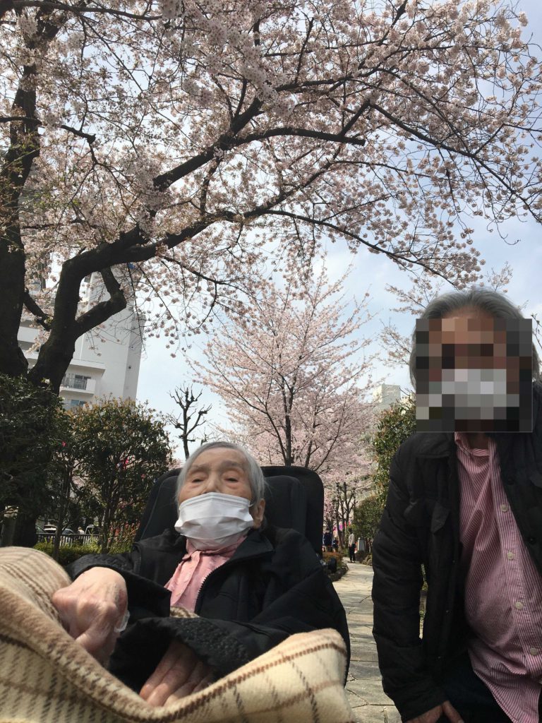 桜の木の下で記念写真