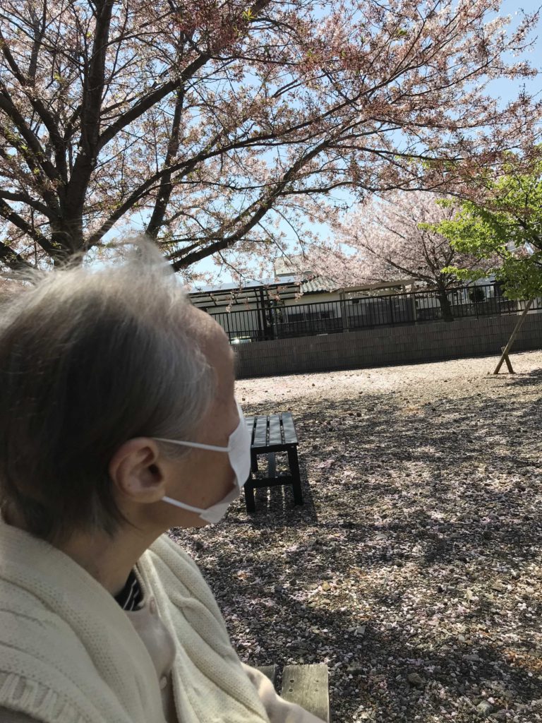 桜を見つめる女性