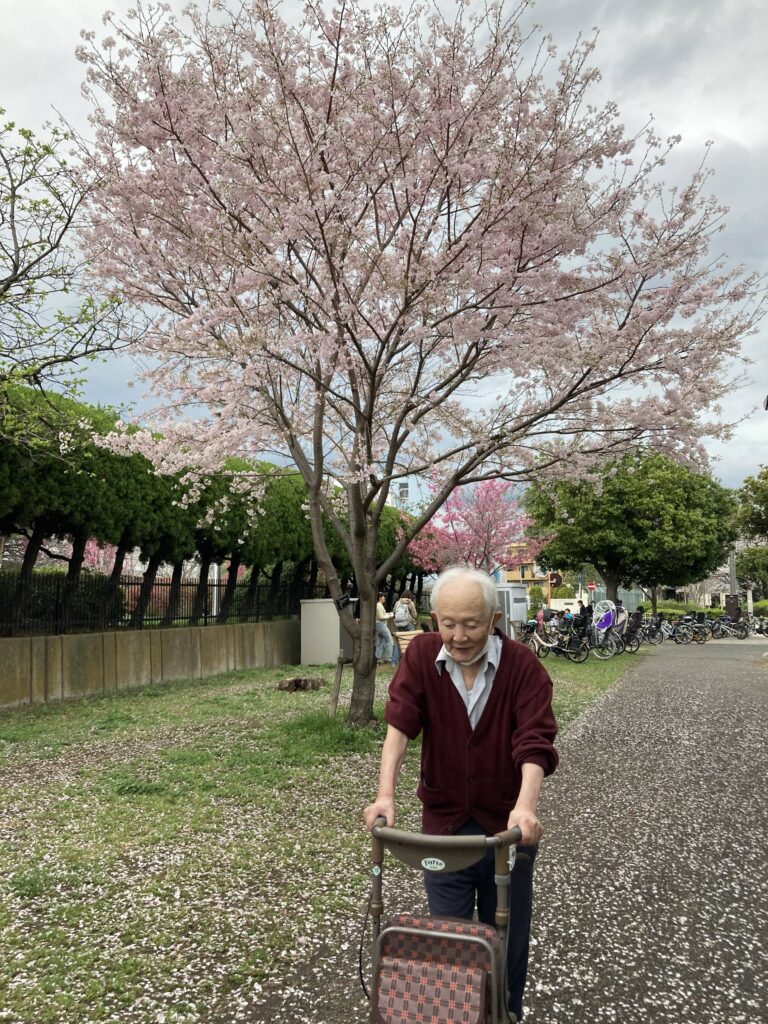 桜の道を歩く男性