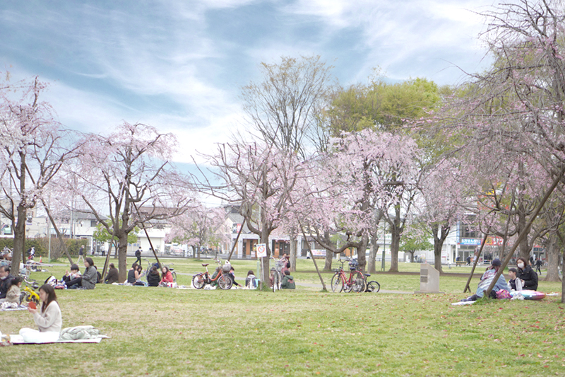 福岡中央公園　芝生のエリア