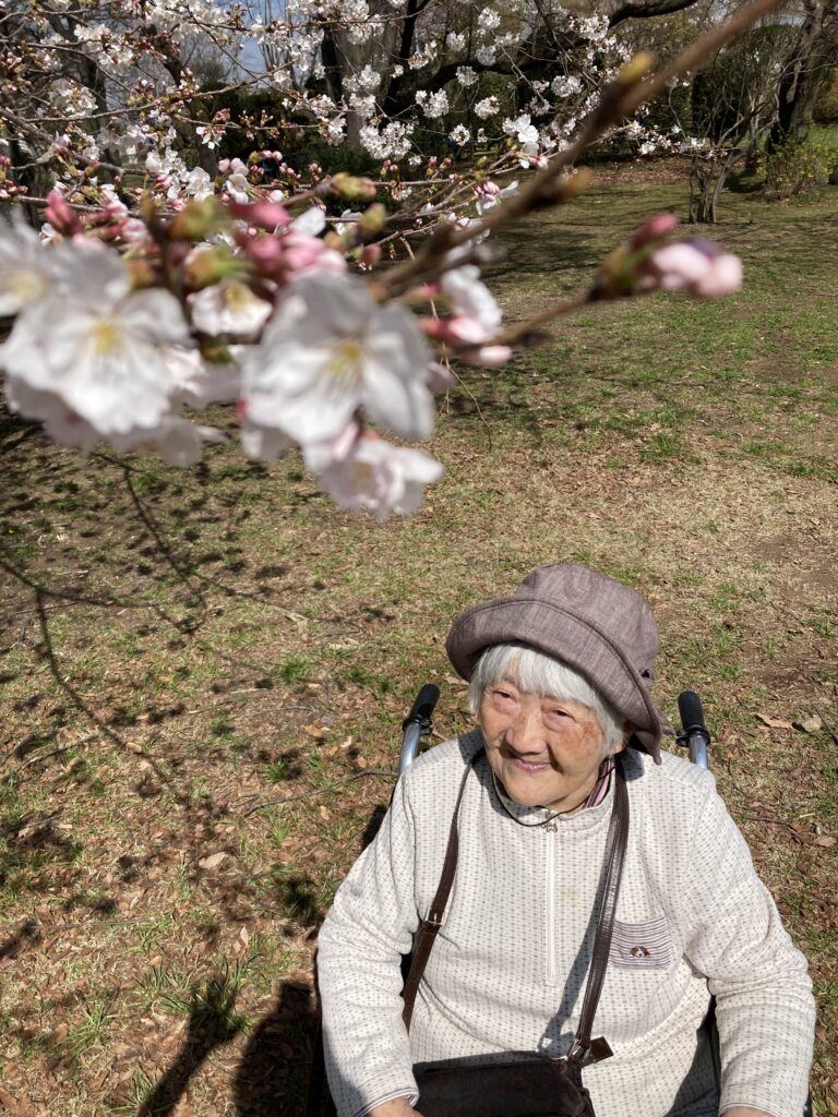 桜を見る女性