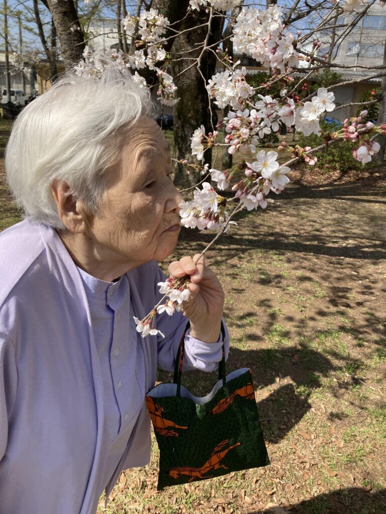 桜の花をかぐ女性