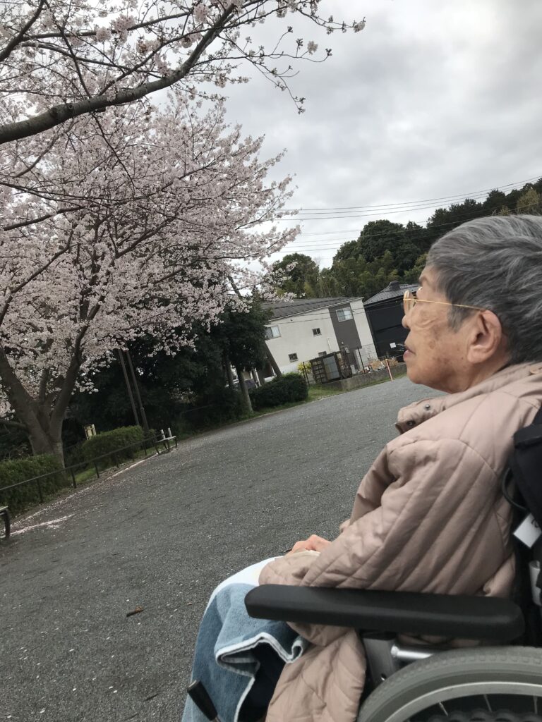 桜を眺める女性