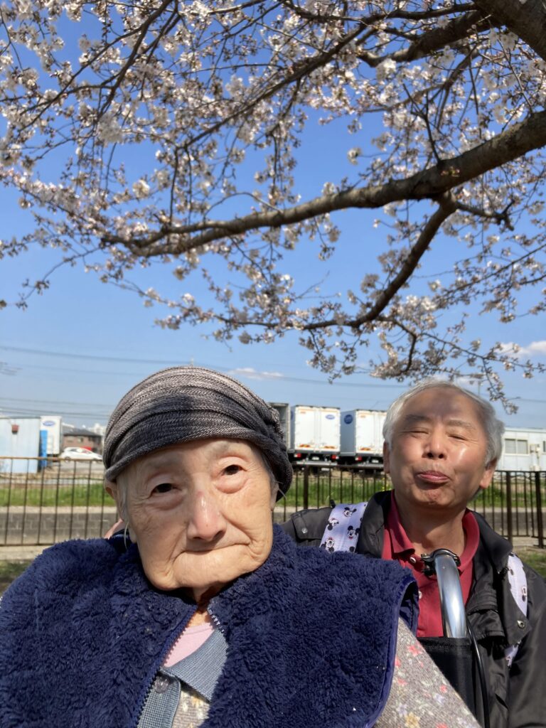 桜と男性と女性