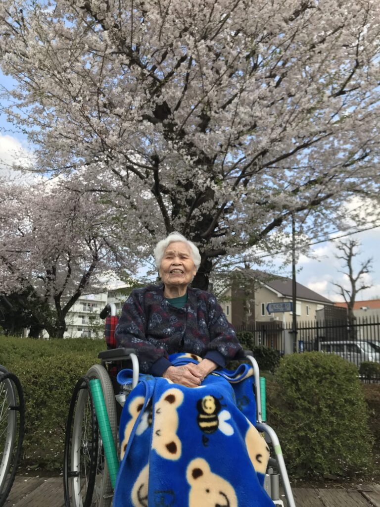 桜と車椅子の女性