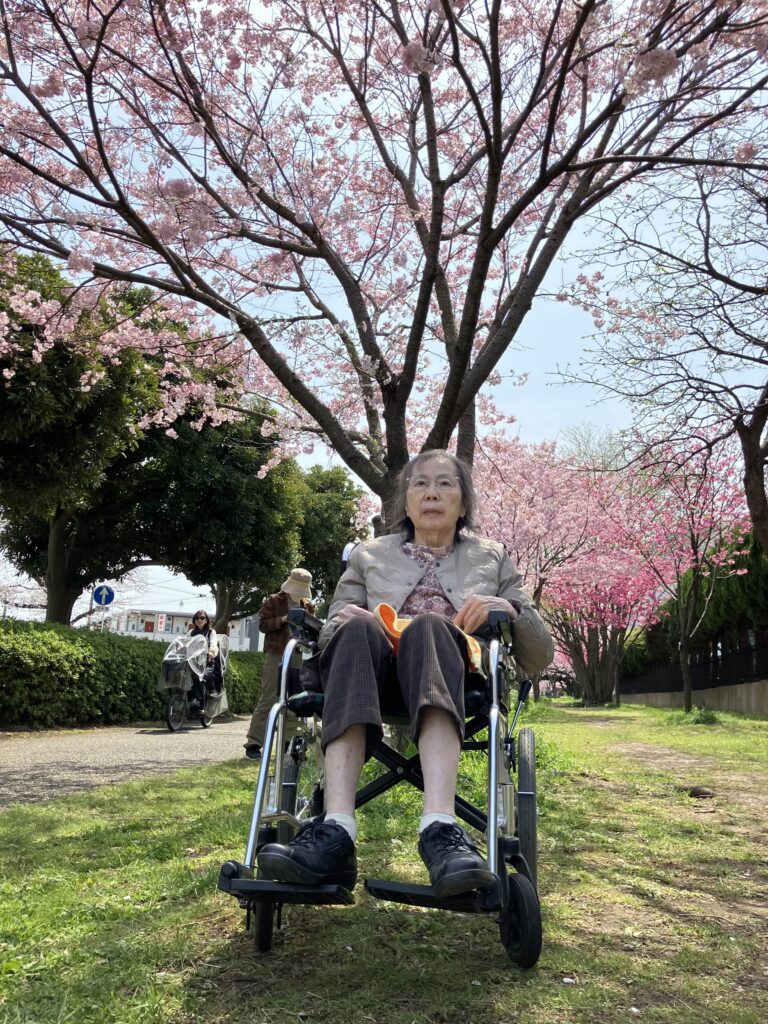 桜の前の車椅子の女性