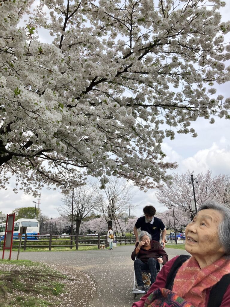 桜を見上げる女性
