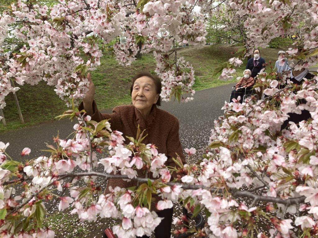 桜の中の女性