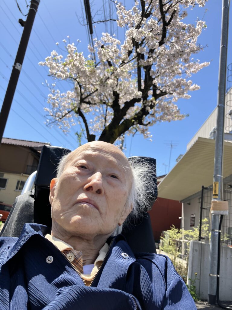 桜と男性