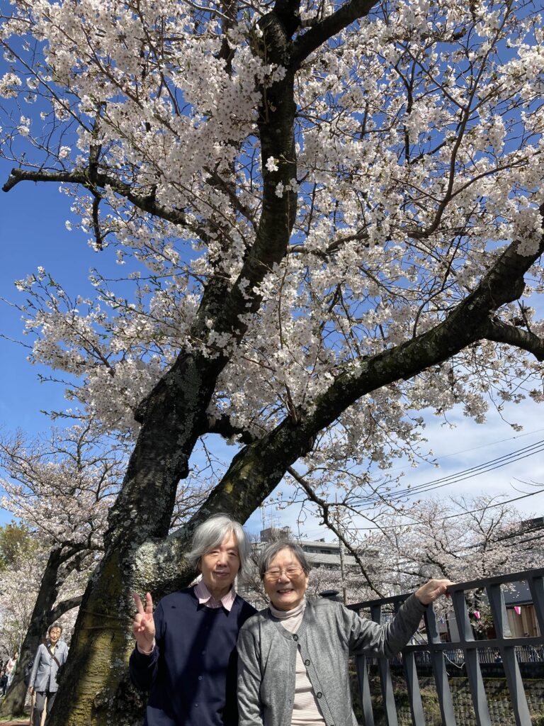 桜の前の女性二人