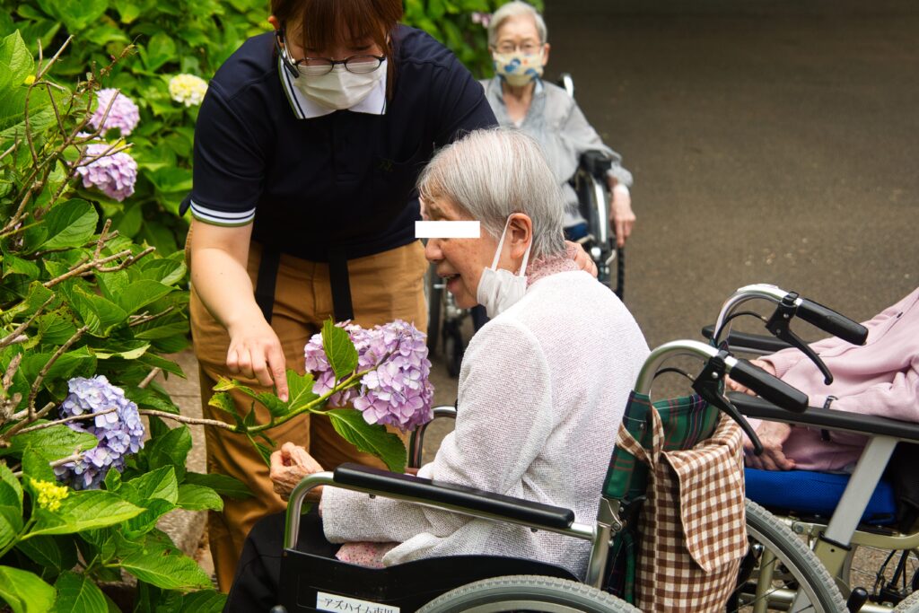 紫陽花鑑賞する女性