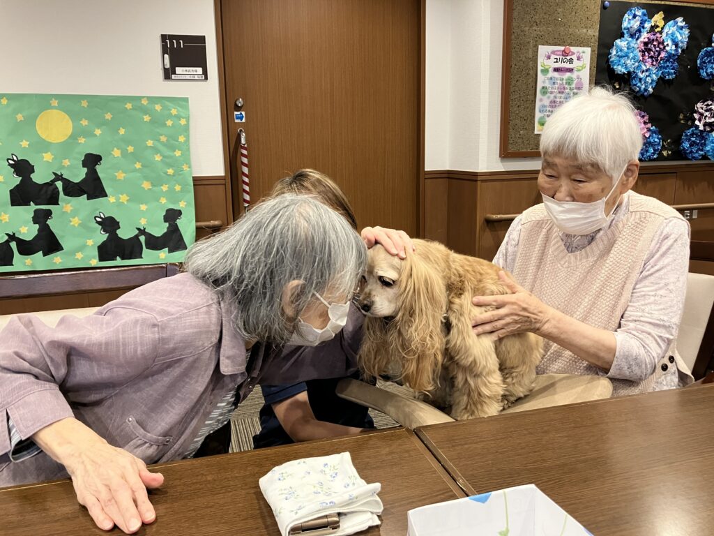 犬と顔を突き合わせる女性