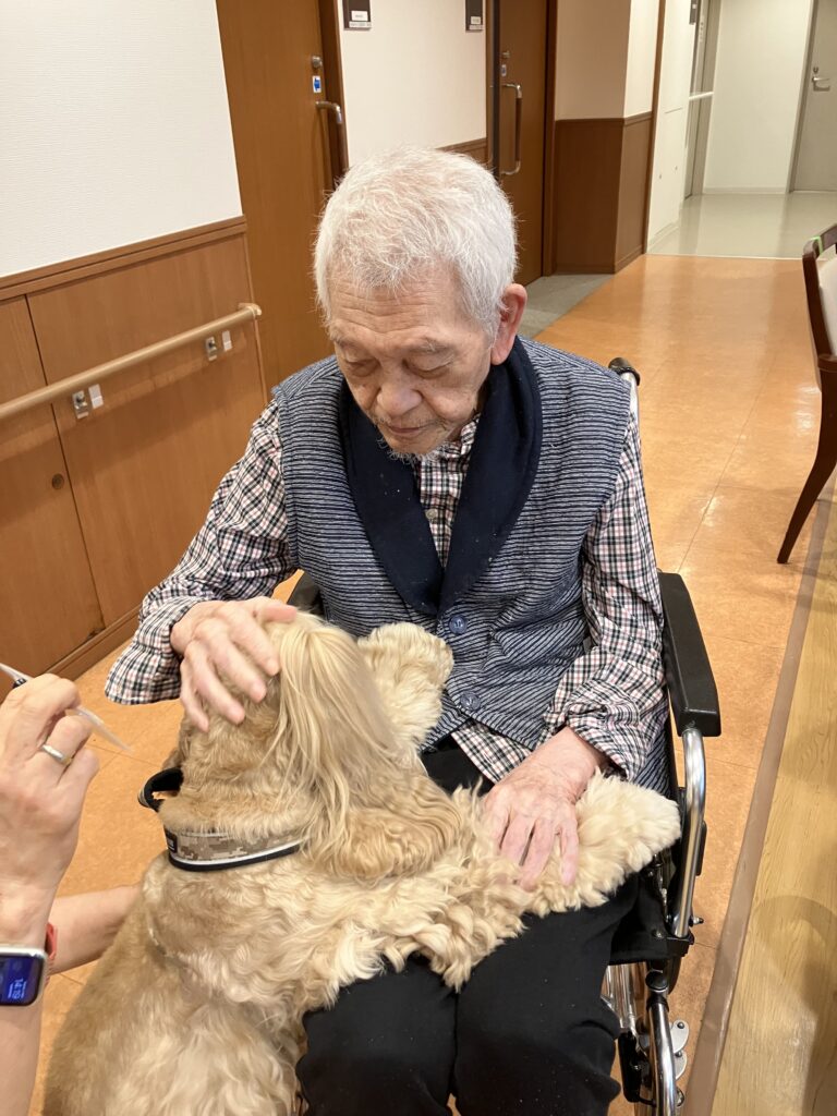 犬の頭をなでる男性