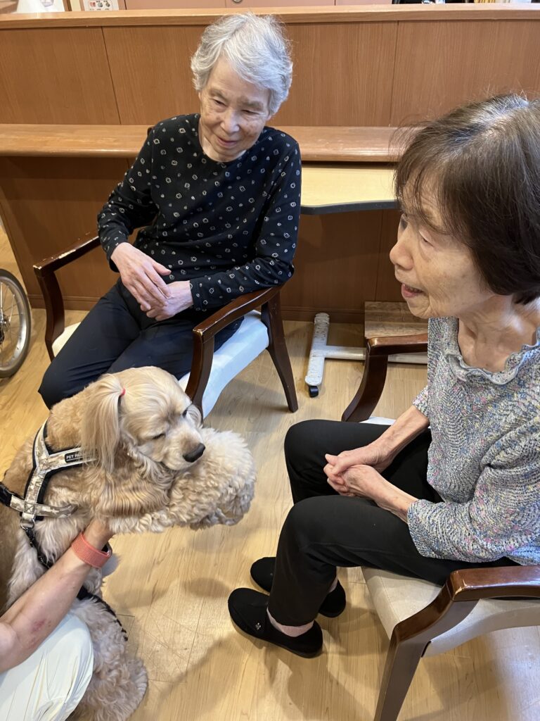 犬と女性二人