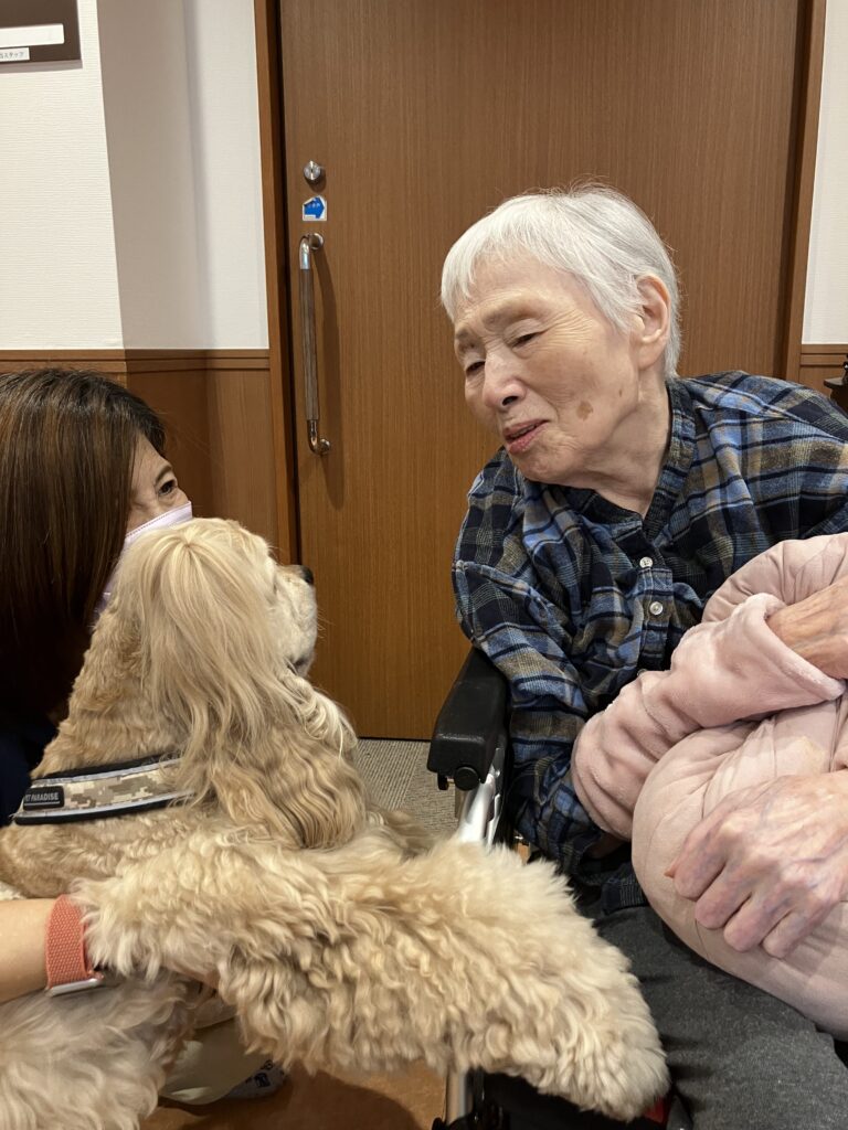 犬と目を合わせる女性