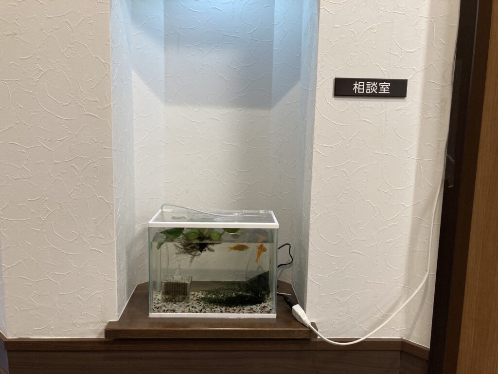 金魚