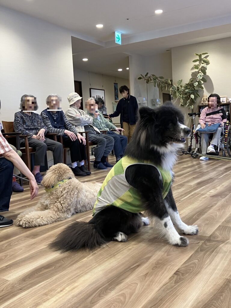 くつろぐ犬