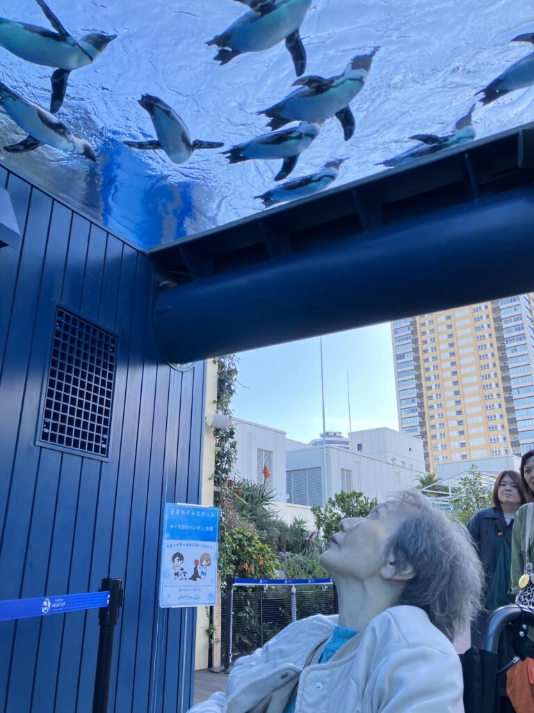 頭上のペンギンを見上げる女性