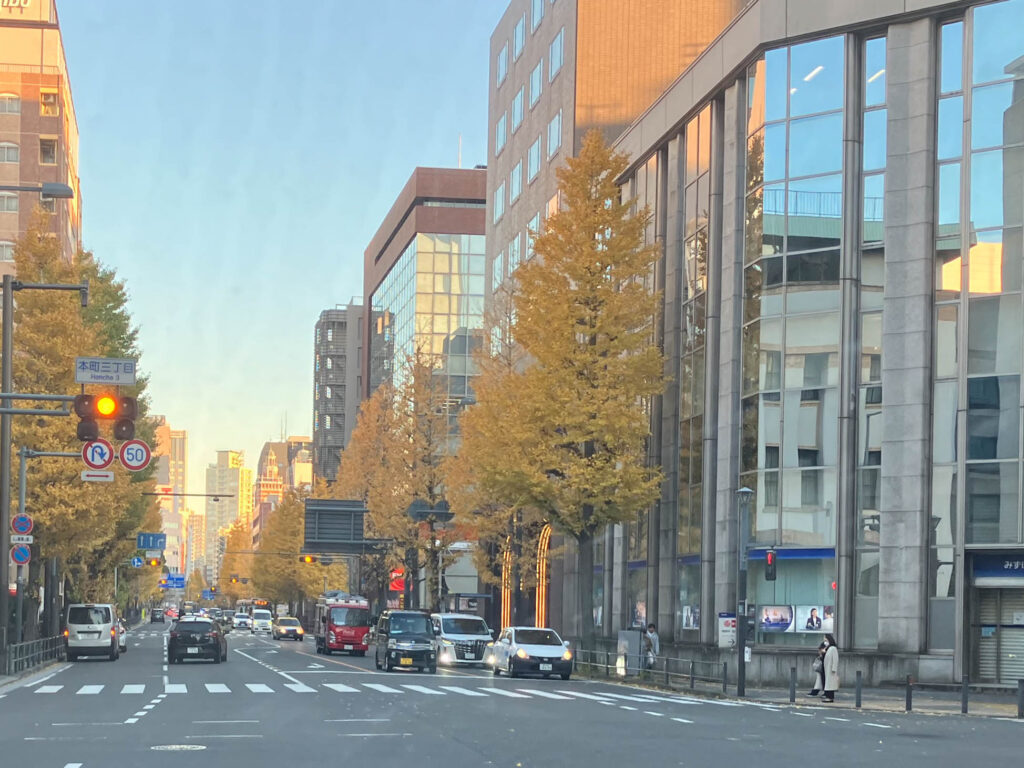 横浜の銀杏並木