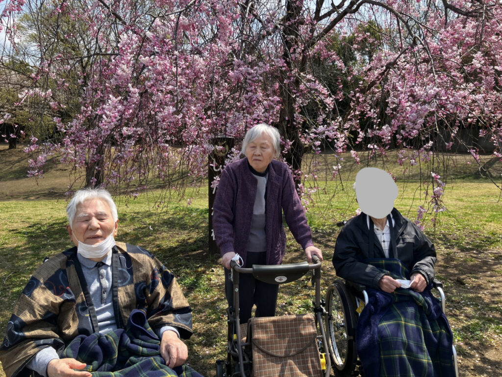 お花見の様子