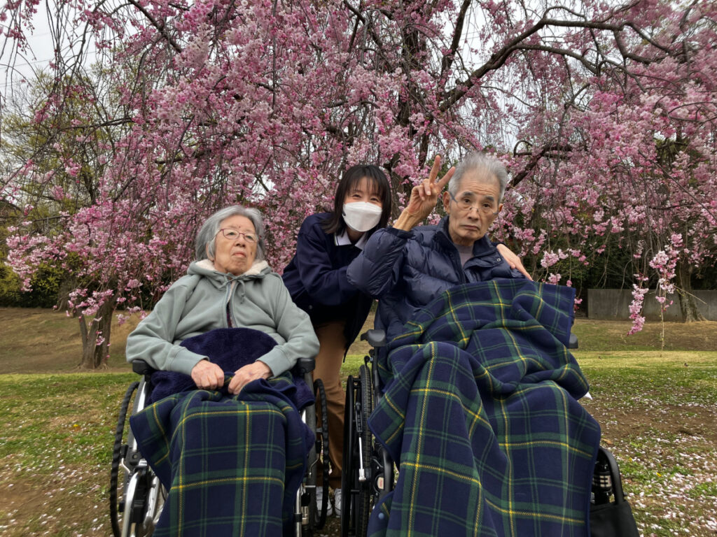 お花見の様子
