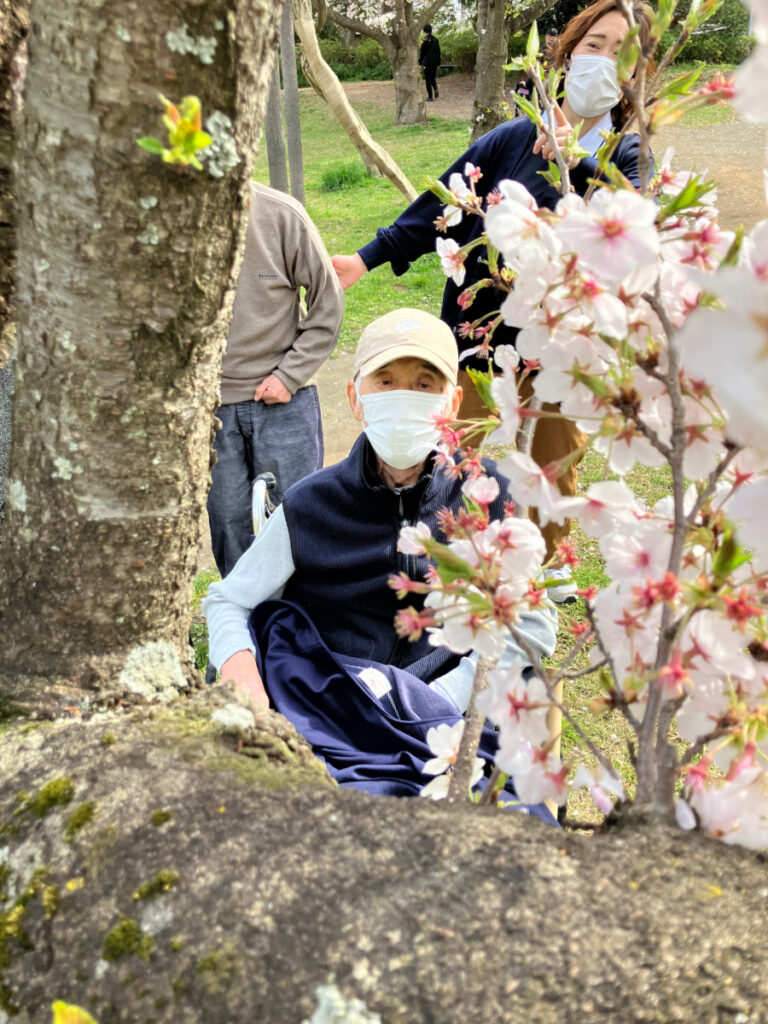 お花見をする男性