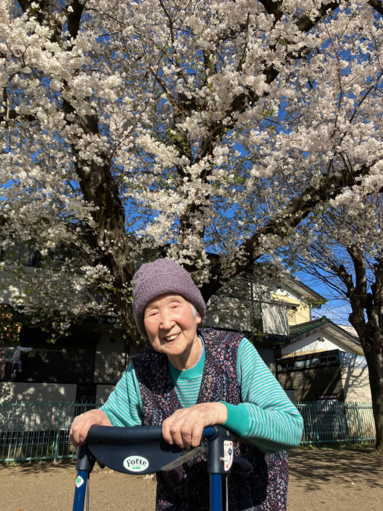 お花見する女性