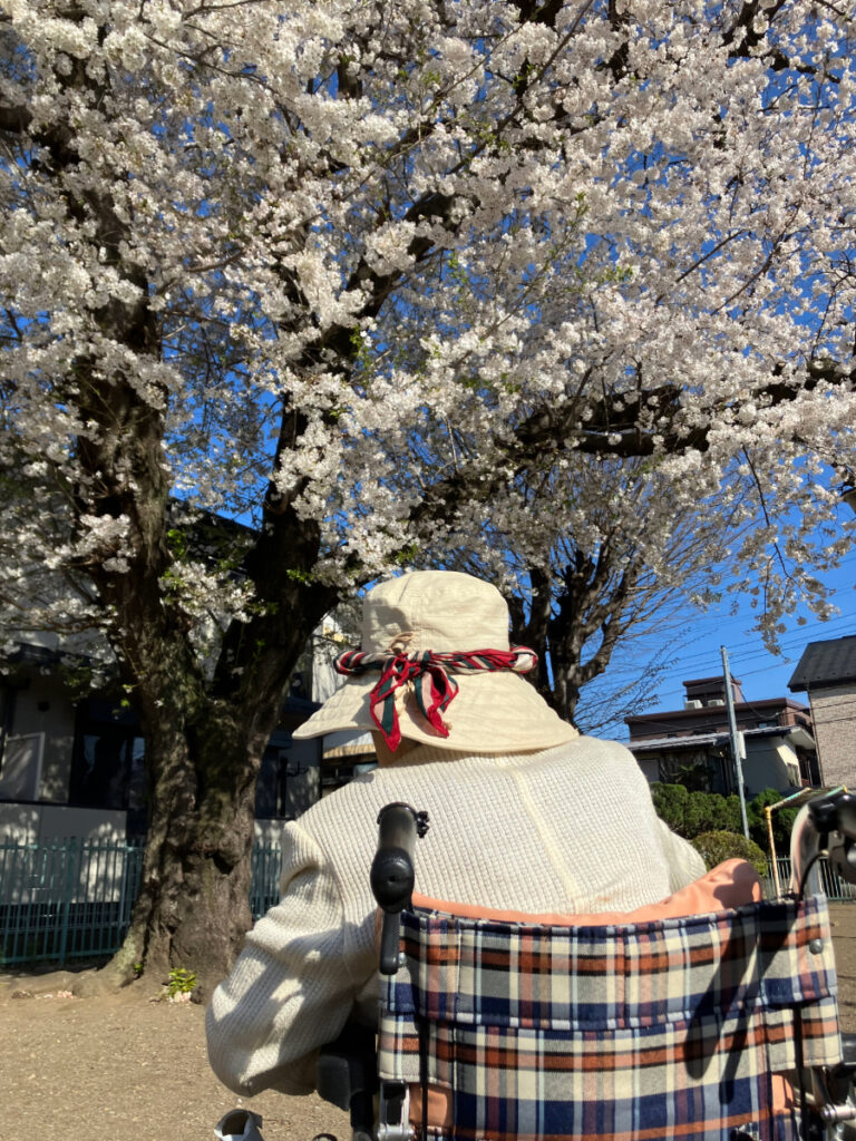 お花見する様子