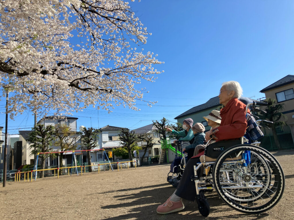 公園でお花見する様子