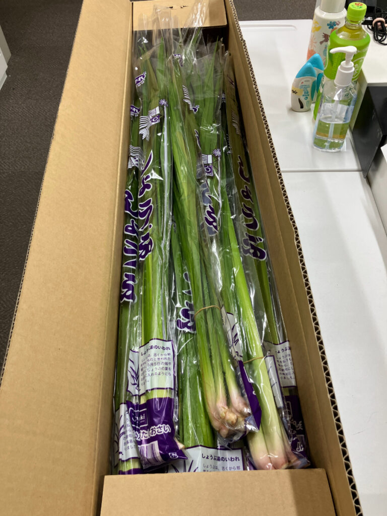 段ボールいっぱいの菖蒲