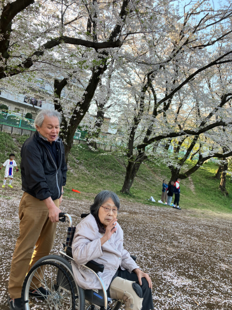 お花見の様子