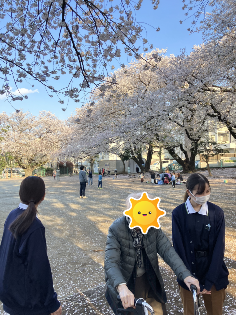 一面に桜が咲く様子