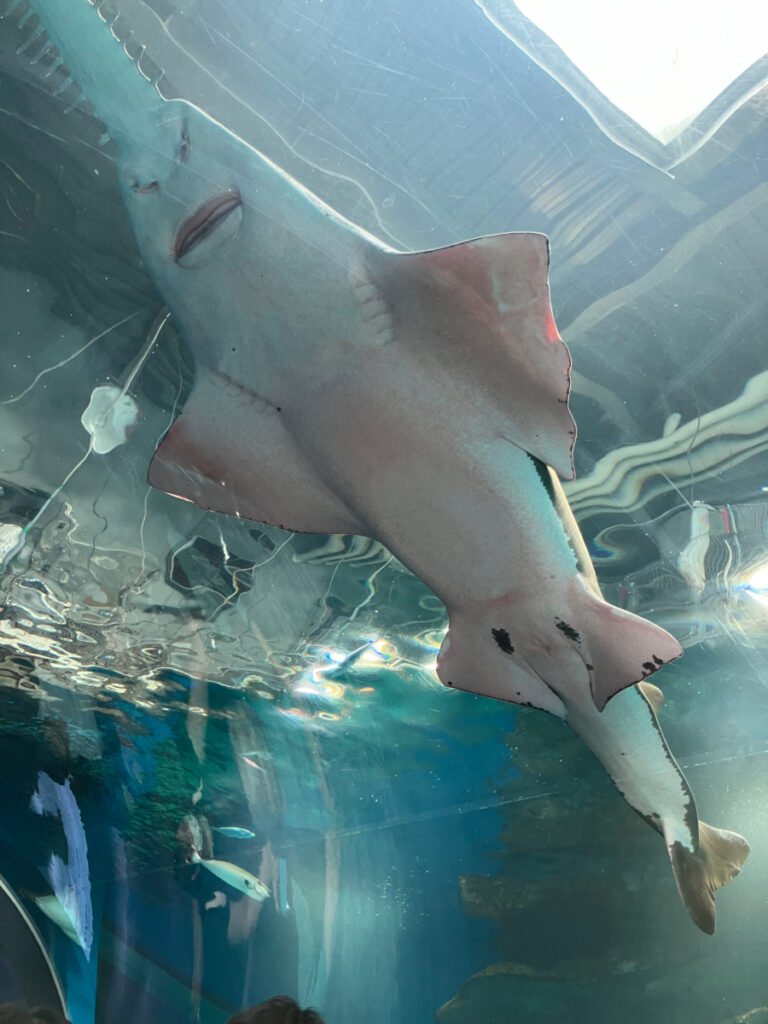 水族館