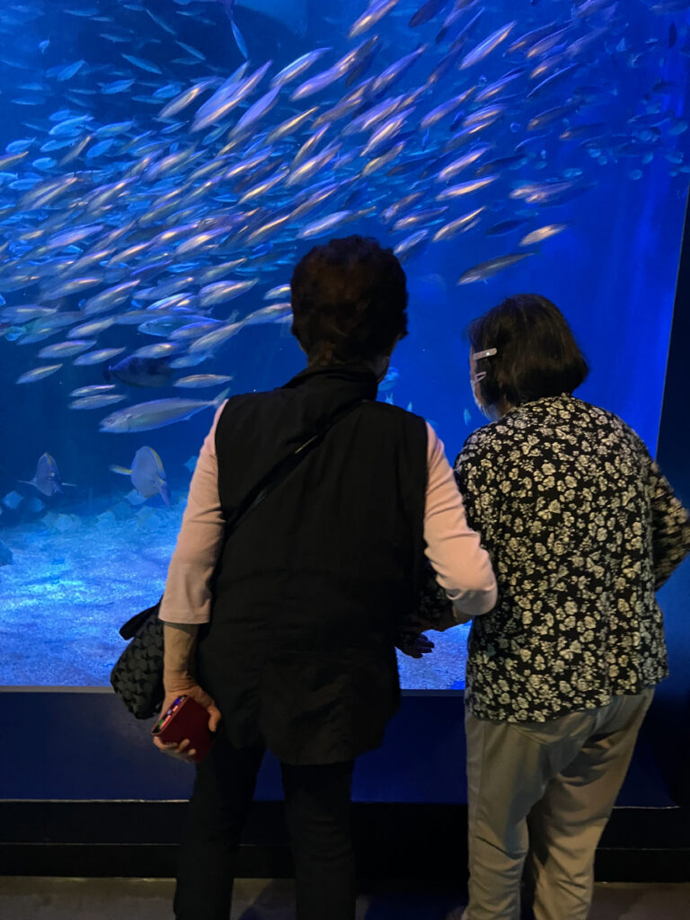 水族館の様子