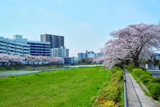設備・周辺環境|アズハイム春日部