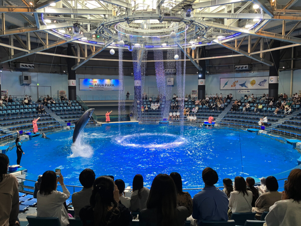 水族館で迫力のイルカショー