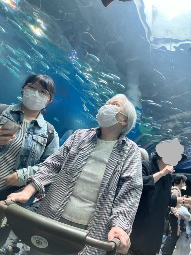 水族館でたくさんの魚を鑑賞する様子