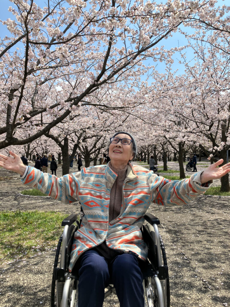 お花見の様子