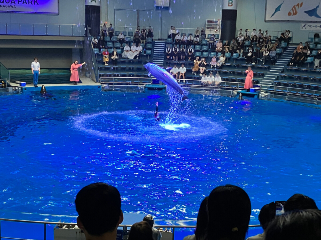 迫力満点イルカショー