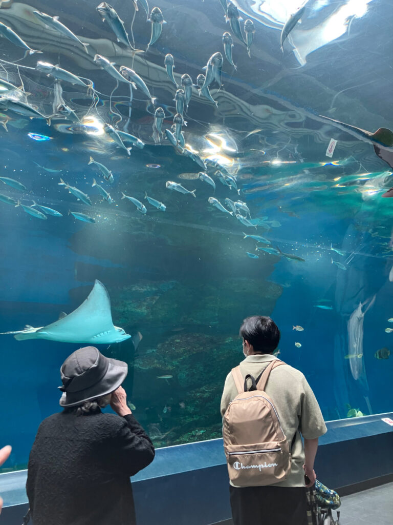 水族館で魚を鑑賞する様子