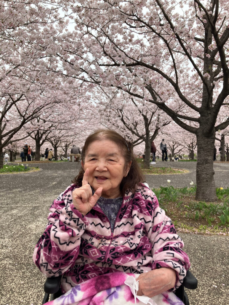 お花見の様子