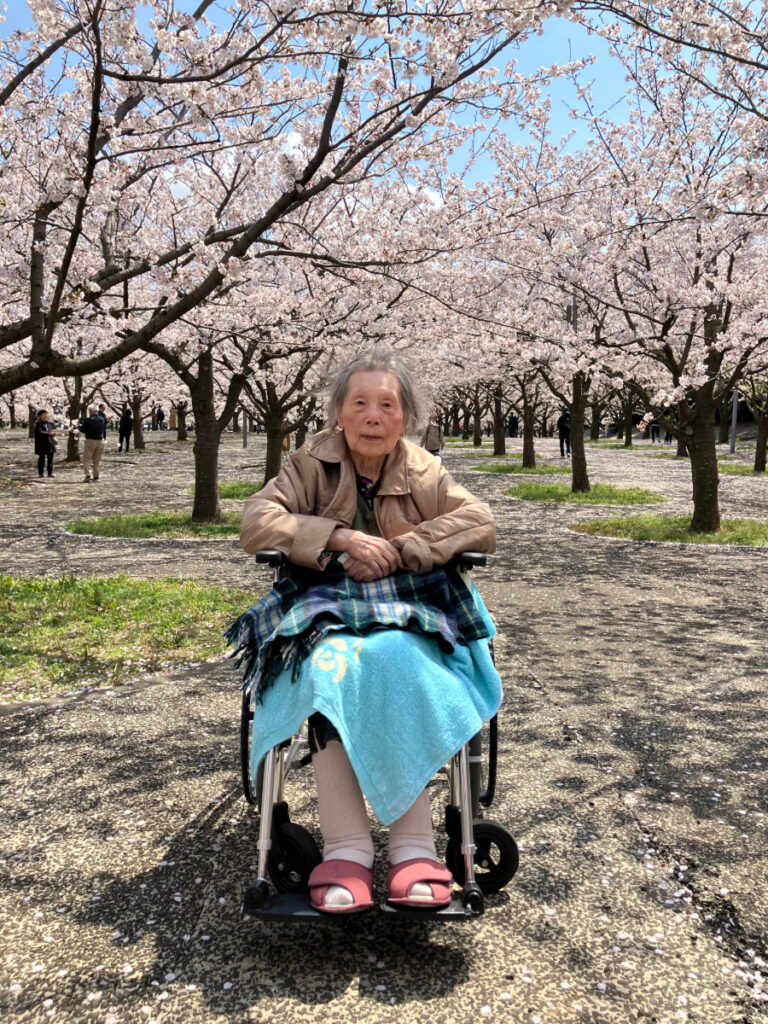 お花見の様子
