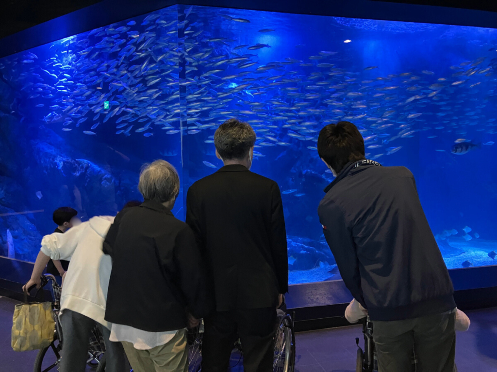 大型水槽の魚を覗き込む様子