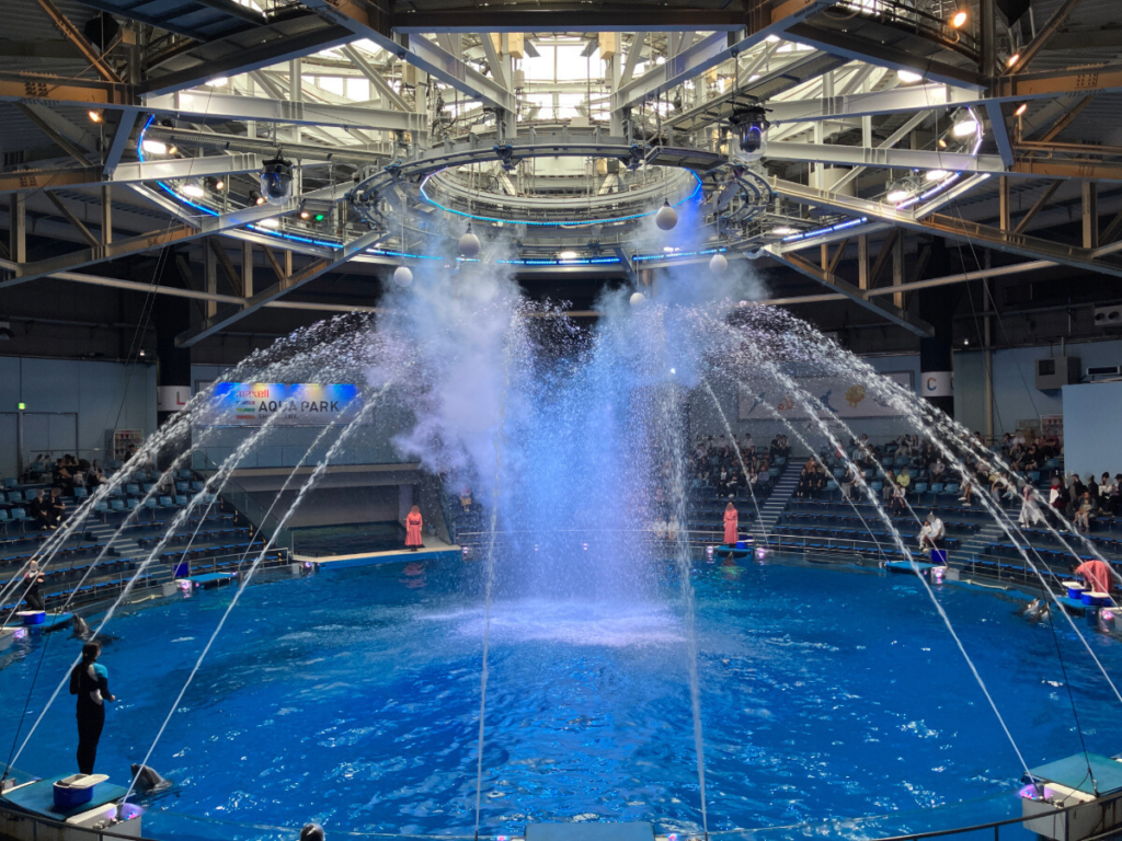 水族館で迫力のイルカショー