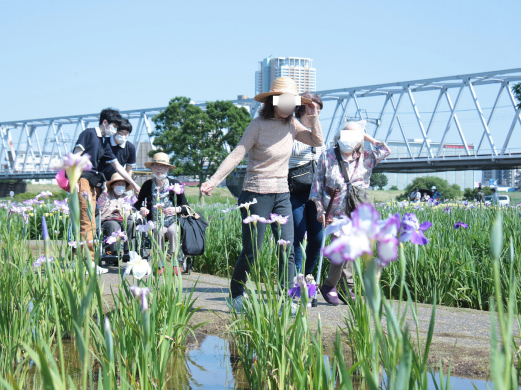 小岩菖蒲園で散策の様子
